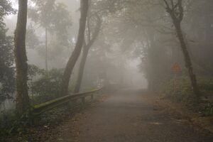 Hồ Mây Park trên Núi Lớn Vũng Tàu